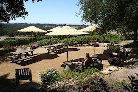 I love Laetitia Vineyards, Especially the beautiful tasting room and outdoor sipping area