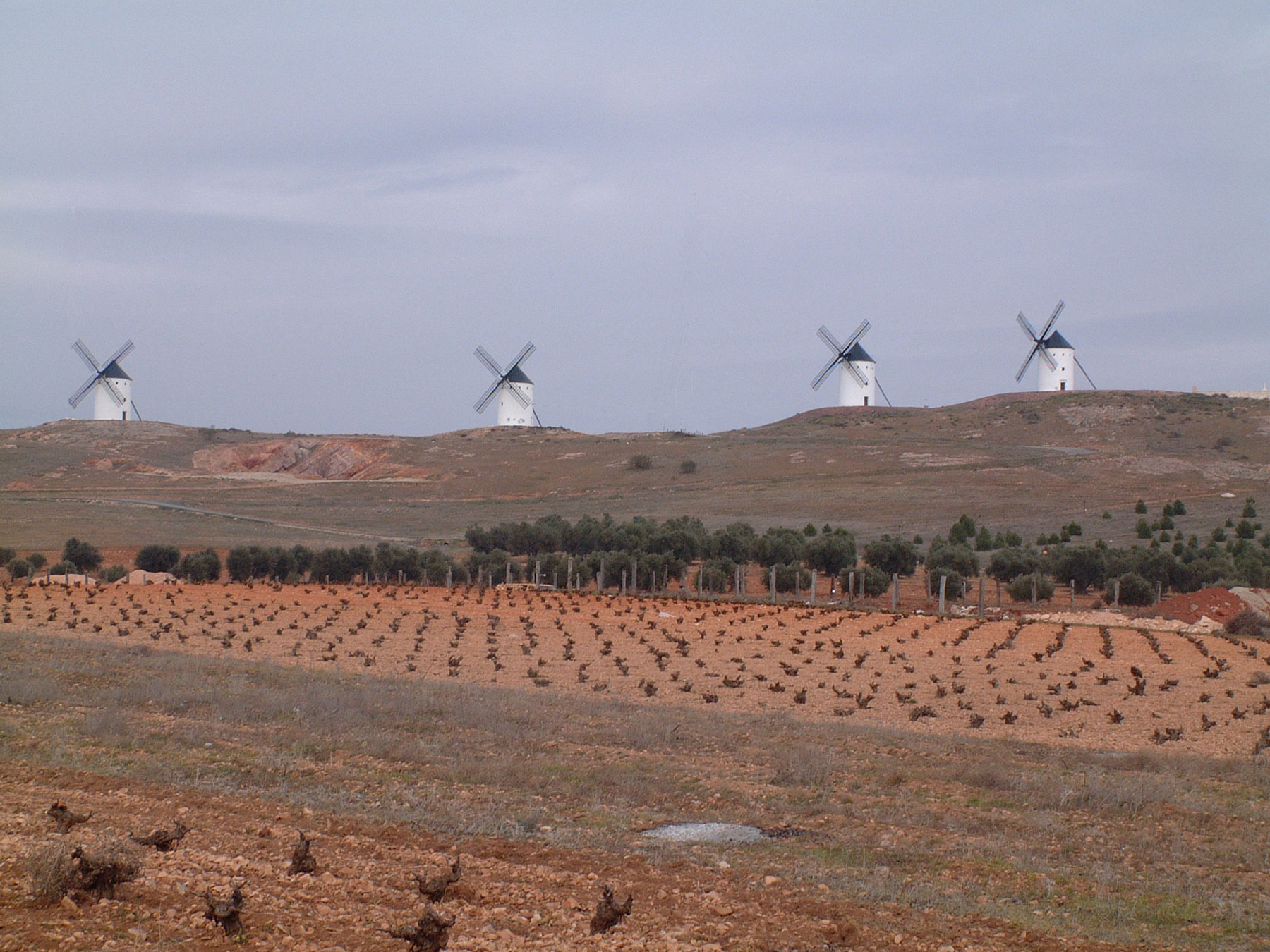 Wine of La Mancha, the Revival      By Terry Nozick